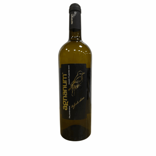 Falanghina Campi Flegrei DOC 2022 – Agnanum