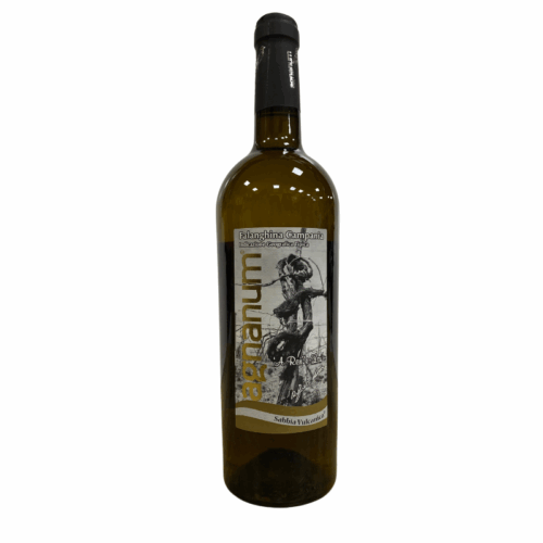 Sabbia Vulcanica Falanghina IGT 2023 – Agnanum