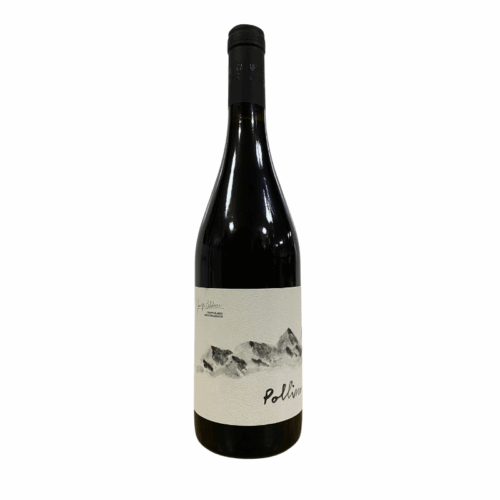 Pollino Rosso Terre di Cosenza DOC 2020 – Giuseppe Calabrese