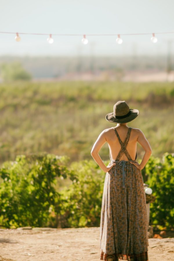 azienda enoteca la masseria